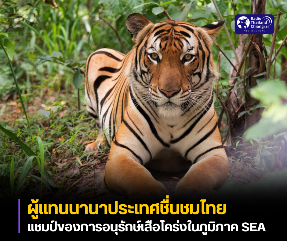 ผู้แทนนานาประเทศชื่นชมไทยด้านการอนุรักษ์เสือโคร่ง กล่าวเป็นเสียงเดียวกันว่าประเทศ ไทย ถือว่าเป็นแชมป์ของการอนุรักษ์เสือโคร่งในภูมิภาคเอเชียตะวันออกเฉียงใต้ สามารถนำมาเป็นโมเดลตัวอย่างสำหรับการดำเนินงานของประเทศถิ่นอาศัยเสือโคร่งประเทศอื่น ๆ ได้เป็นอย่างดี