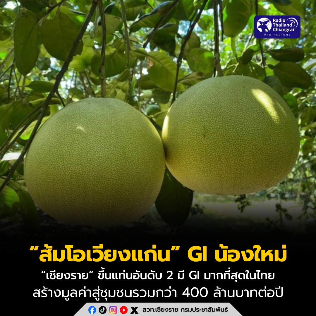 กรมทรัพย์สินทางปัญญา ประกาศ &ldquo;ส้มโอเวียงแก่น&rdquo; เป็น GI น้องใหม่ ดัน &ldquo;เชียงราย&rdquo; ขึ้นแท่นอันดับ 2 จังหวัดที่มี GI มากที่สุดในไทย สร้างมูลค่าสู่ชุมชนรวมกว่า 400 ล้านบาทต่อปี