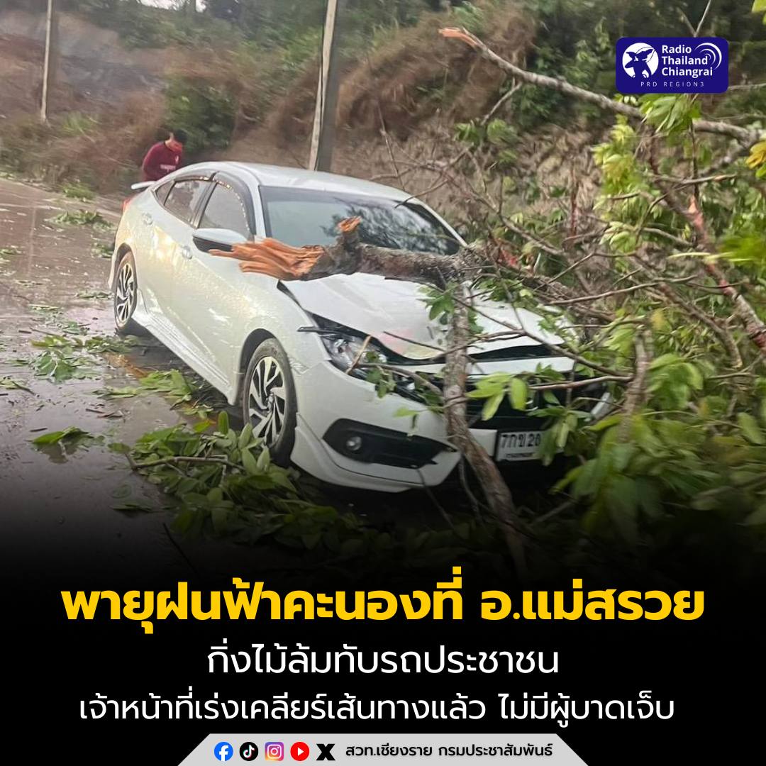 พายุฝนฟ้าคะนองที่ อ.แม่สรวย กิ่งไม้ล้มทับรถประชาชน เจ้าหน้าที่เร่งเคลียร์เส้นทางแล้ว เบื้องต้นไม่มีผู้บาดเจ็บ 